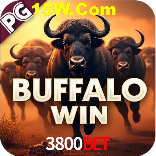 Basketball Betting 3800bet